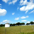 DSCN9056