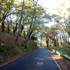 DSCN1025