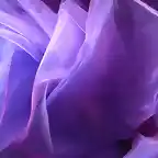 Lila - violeta