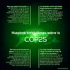 elplural-conclusiones-cop25