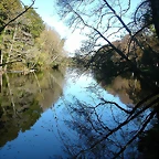 DSCN6368