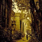 Old Path