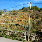 DSCN1574