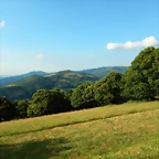 DSCN9288