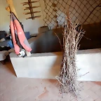 DSCN6766