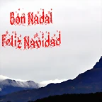 Bon Nadal - Feliz Navidad 2013