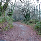 DSCN7241