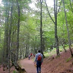 DSCN3892