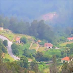 57-IMG_2244