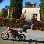 DSCN4556