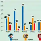 BoliviaElecciones2019-1