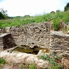 DSCN4334
