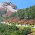 40-IMG_6950