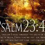 Psalm-23-4-