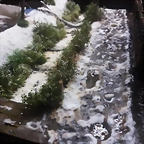 PHOTO 005