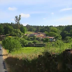 59-IMG_1437