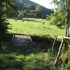 IMG_0961