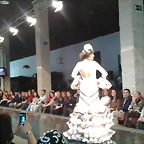 Pasarela 14-2-2015 (2)