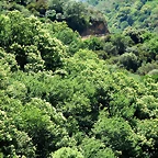 19-IMG_7255