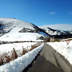 DSCN1867
