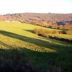 DSCN6664