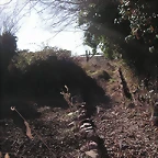 mtb olocau 086