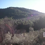 mtb olocau 088