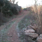 mtb olocau 100