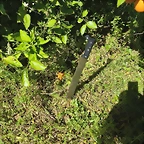 IMG_20250421_165713