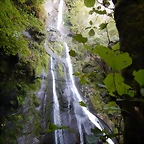 DSCN8732