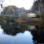 DSCN8985