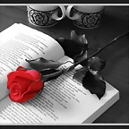 Rosa en novela
