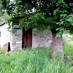 DSCN4583