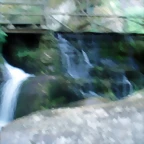 P1010208
