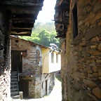 DSCN5740