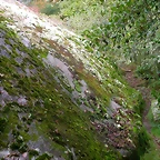 DSCN5740