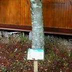 DSCN5801