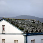 DSCN3236