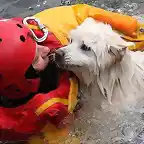 Un bombero salva un perro ciego