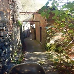 DSCN4348