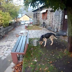 DSCN1296