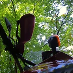 IMG_8606