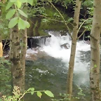DSCN4163