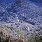IMG_1785