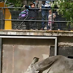Zoo de Barcelona 23-04-11 089
