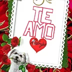 la hice pensando en ti (L)