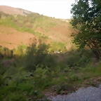 DSCN2141