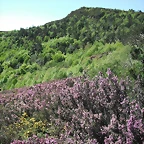 DSCF2507