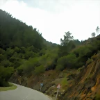 DSCN9341