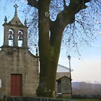 61-IMG_4788